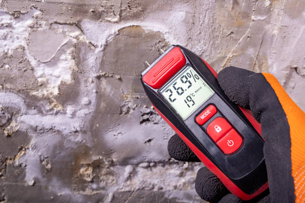 Best Post-Flood Mold Remediation in Yale, OK