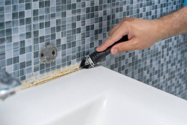 Best Mold Remediation for Schools in Yale, OK