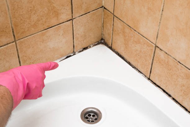 Best Mold Testing and Inspection Services in Yale, OK